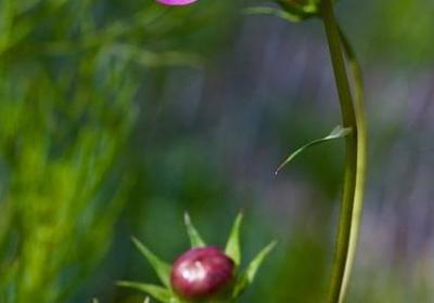 经典名言警句(共60句) 经典名言警句(共60句)