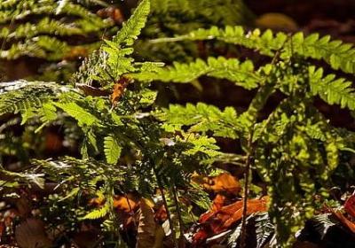 英语的励志名言(共33句)