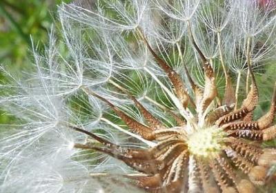 管理情绪的名言(热门19句)