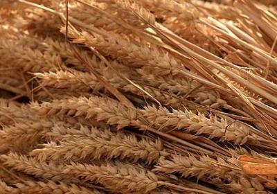 赞美青春的名言(必备60句) 赞美青春的名言(必备60句)