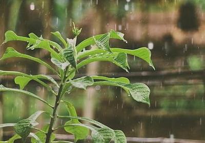 认真的名言名句(精选20句) 认真的名言名句(精选20句)