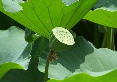 读书的名言有什么(优选68句) 读书的名言有什么(优选68句)