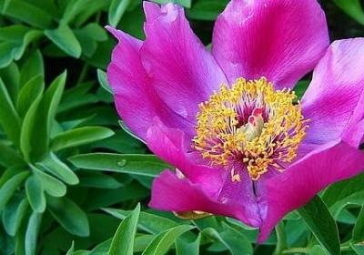 讲信用的名言(合集12句) 讲信用的名言(合集12句)