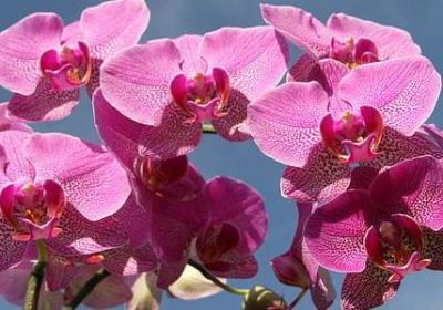 责任名言警句(合集60句) 责任名言警句(合集60句)