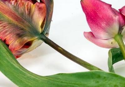 超短的名人名言(精选67句) 超短的名人名言(精选67句)