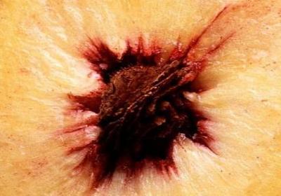 谦虚名言警句(汇总55句) 谦虚名言警句(汇总55句)