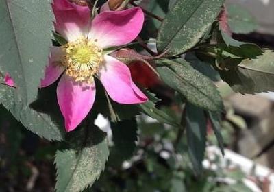 责任担当的名言(精选70句) 责任担当的名言(精选70句)