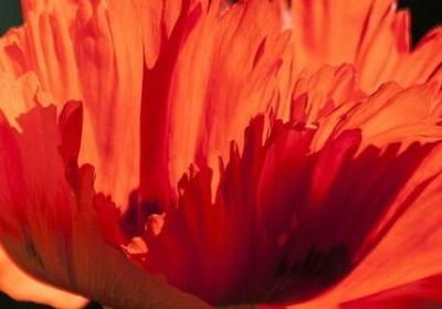 节约资源的名言(必备70句)