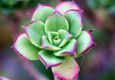 良好习惯的名言(通用60句) 良好习惯的名言(通用60句)