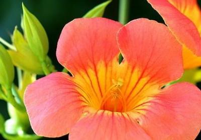 积极乐观的名言(推荐60句)