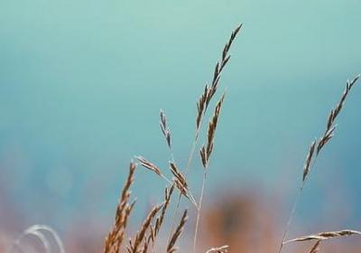 童话名人名言(必备20句)