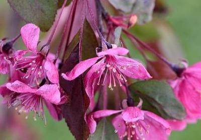 美好生活的名言(汇总80句)