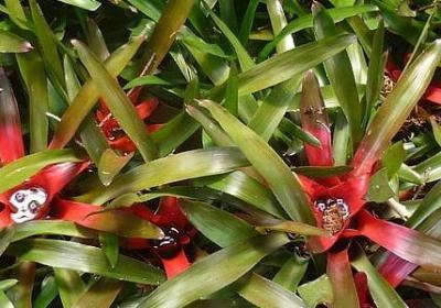 继续努力的名言(优选71句) 继续努力的名言(优选71句)