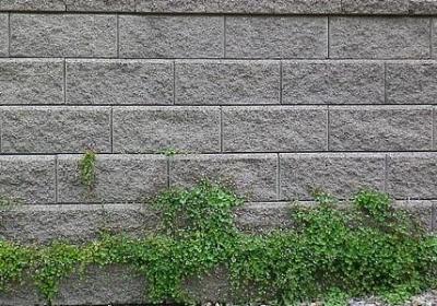 著名言情小说(优选10句) 著名言情小说(优选10句)