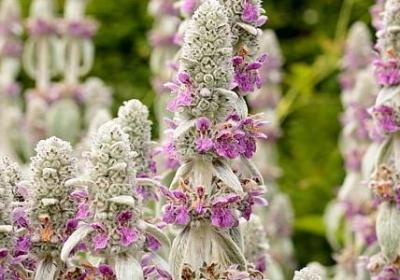 节约名言警句(通用70句) 节约名言警句(通用70句)