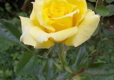 自我激励的名言(通用80句) 自我激励的名言(通用80句)