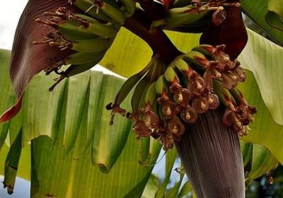 稻盛和夫 名言(实用60句) 稻盛和夫 名言(实用60句)