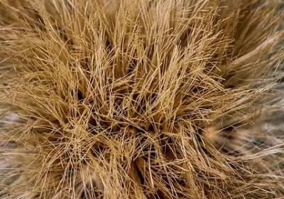 舞蹈名言名句(精选40句)