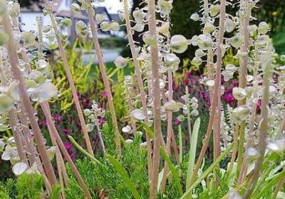 羽生结弦名言(合集20句)