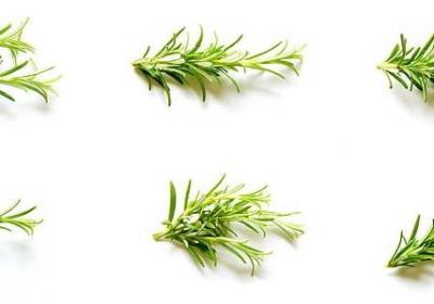 赞颂母爱的名言(精选80句)