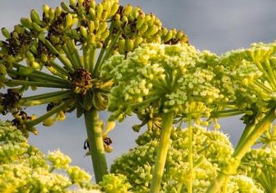 追求的名言警句(推荐80句) 追求的名言警句(推荐80句)