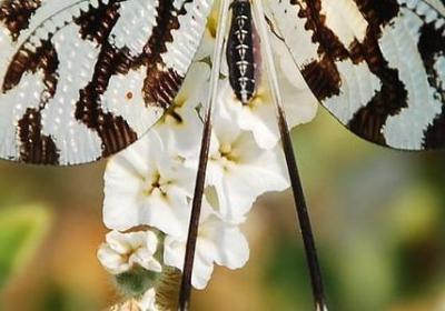 读书名言图片(30句) 读书名言图片(30句)