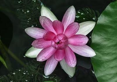 读书名言长句(热门100句) 读书名言长句(热门100句)