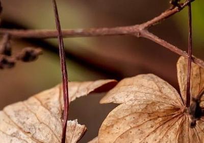 议论文名言名句(合集99句) 议论文名言名句(合集99句)