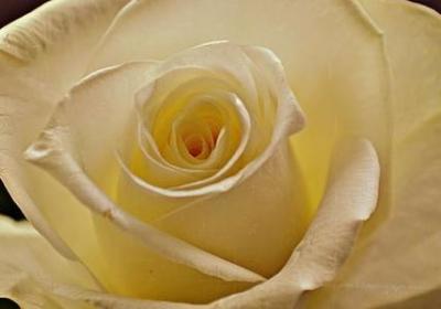 诚信名言警句(20句) 诚信名言警句(20句)