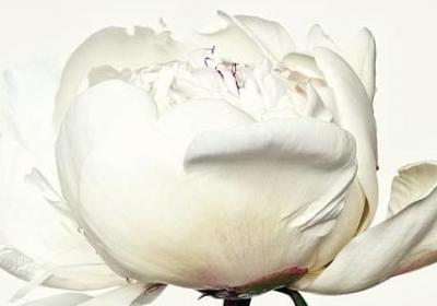 西游记名言警句(精选120句) 西游记名言警句(精选120句)