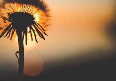 遵守承诺的名言(汇总40句) 遵守承诺的名言(汇总40句)