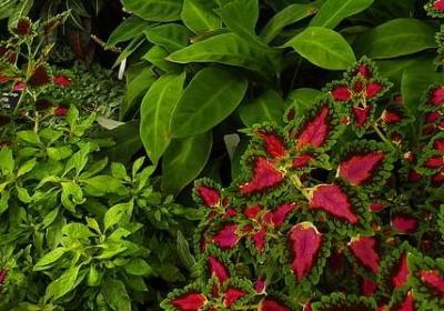 质疑的名言警句(热门80句) 质疑的名言警句(热门80句)