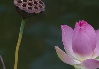 虚心的名言警句(精选69句) 虚心的名言警句(精选69句)