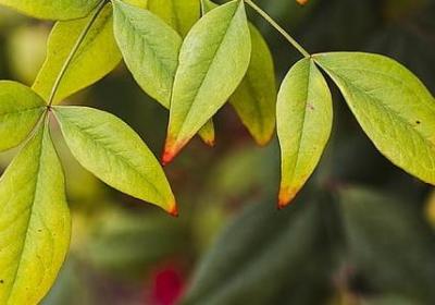 黄菡经典语录(汇总20句)