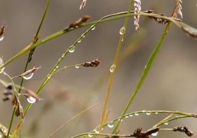 艺术名言(通用40句)