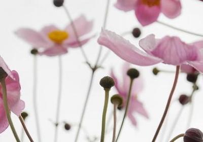 节约粮食名言警句(推荐40句)