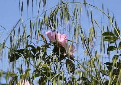 简奥斯汀名言(40句)