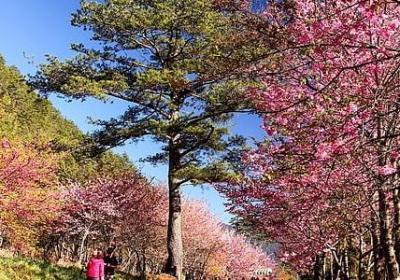 英文励志名言(汇总101句)