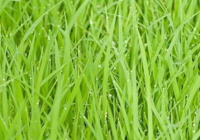 耐心等待的名言(通用50句)