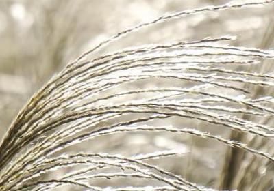 自由名言警句(优选39句) 自由名言警句(优选39句)