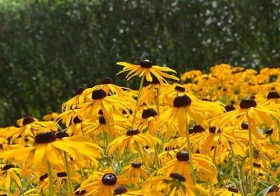 细节名言警句(推荐20句)