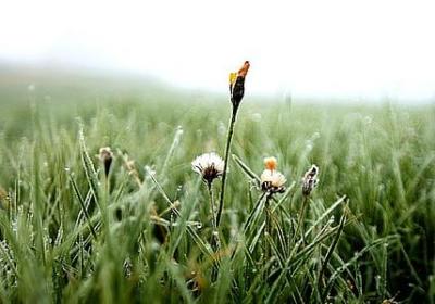 科比名言英文(汇总36句)