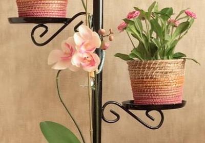 自强名人名言(20句) 自强名人名言(20句)