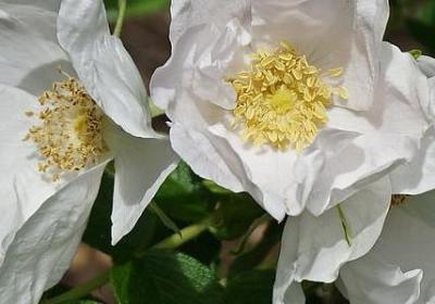 股神巴菲特名言(必备20句) 股神巴菲特名言(必备20句)