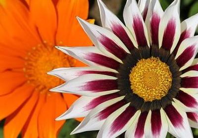 著名名言名句(实用120句) 著名名言名句(实用120句)