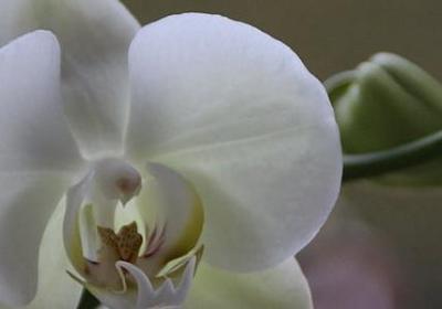 英文版名人名言(实用10句) 英文版名人名言(实用10句)