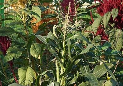 自强不息的名人名言(实用22句) 自强不息的名人名言(实用22句)