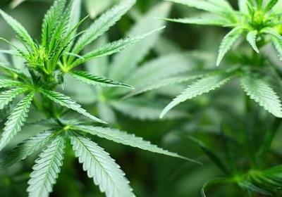 英语名言佳句(实用39句) 英语名言佳句(实用39句)