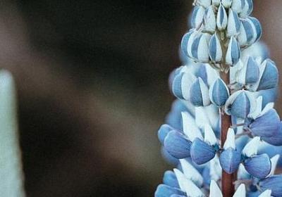 自我反省的名言(共25句)