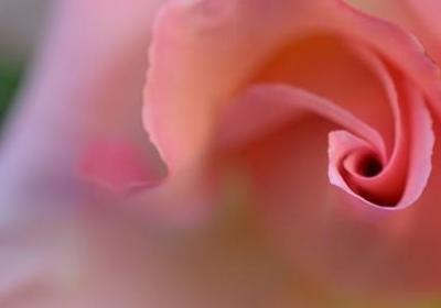 礼仪名言警句(优选50句) 礼仪名言警句(优选50句)